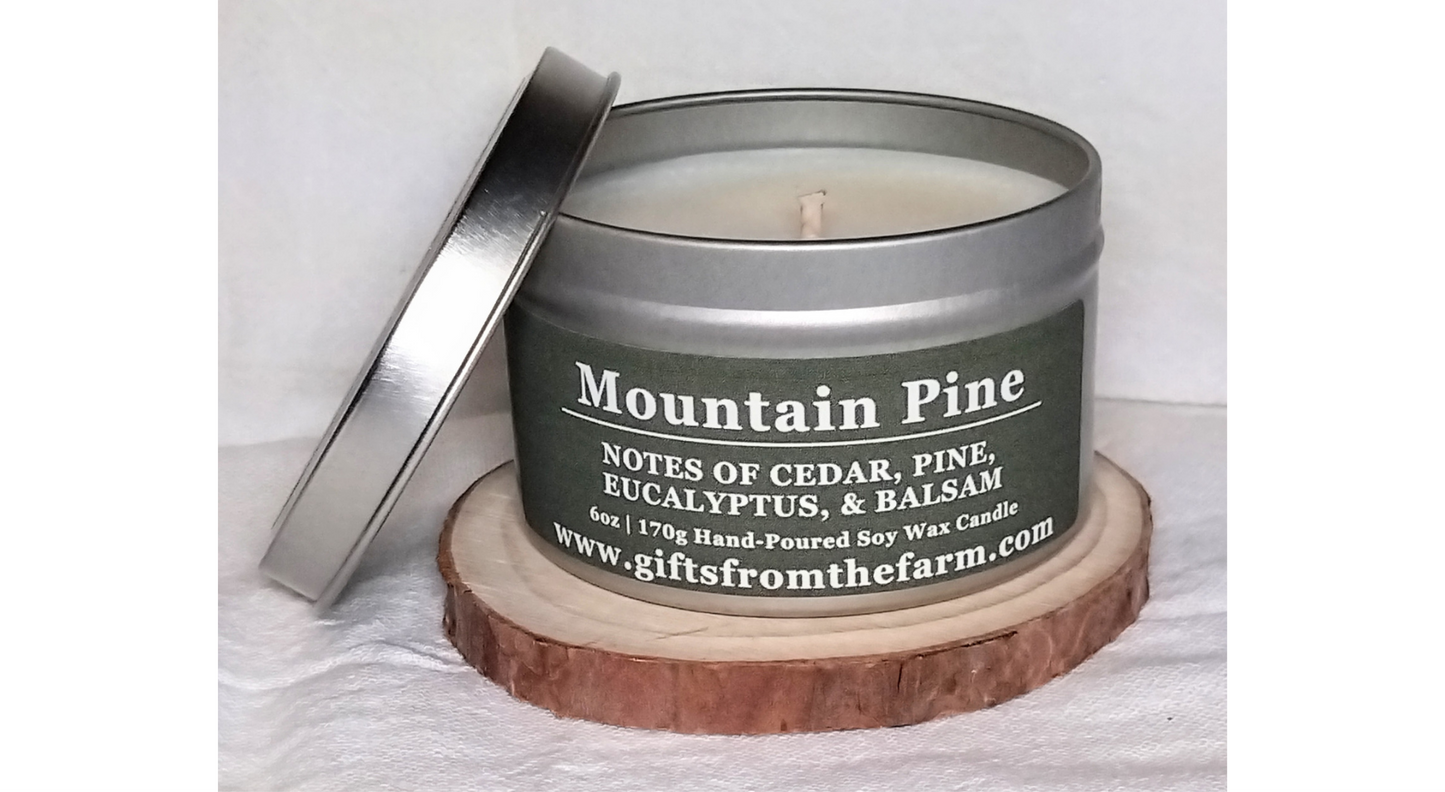 Mountain Pine